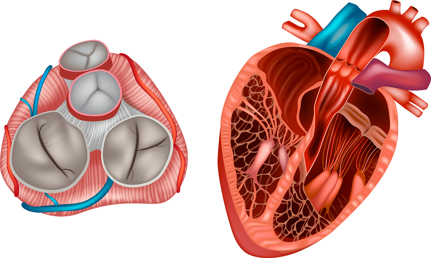 shutterstock_1364168324 [Convertido] (1)