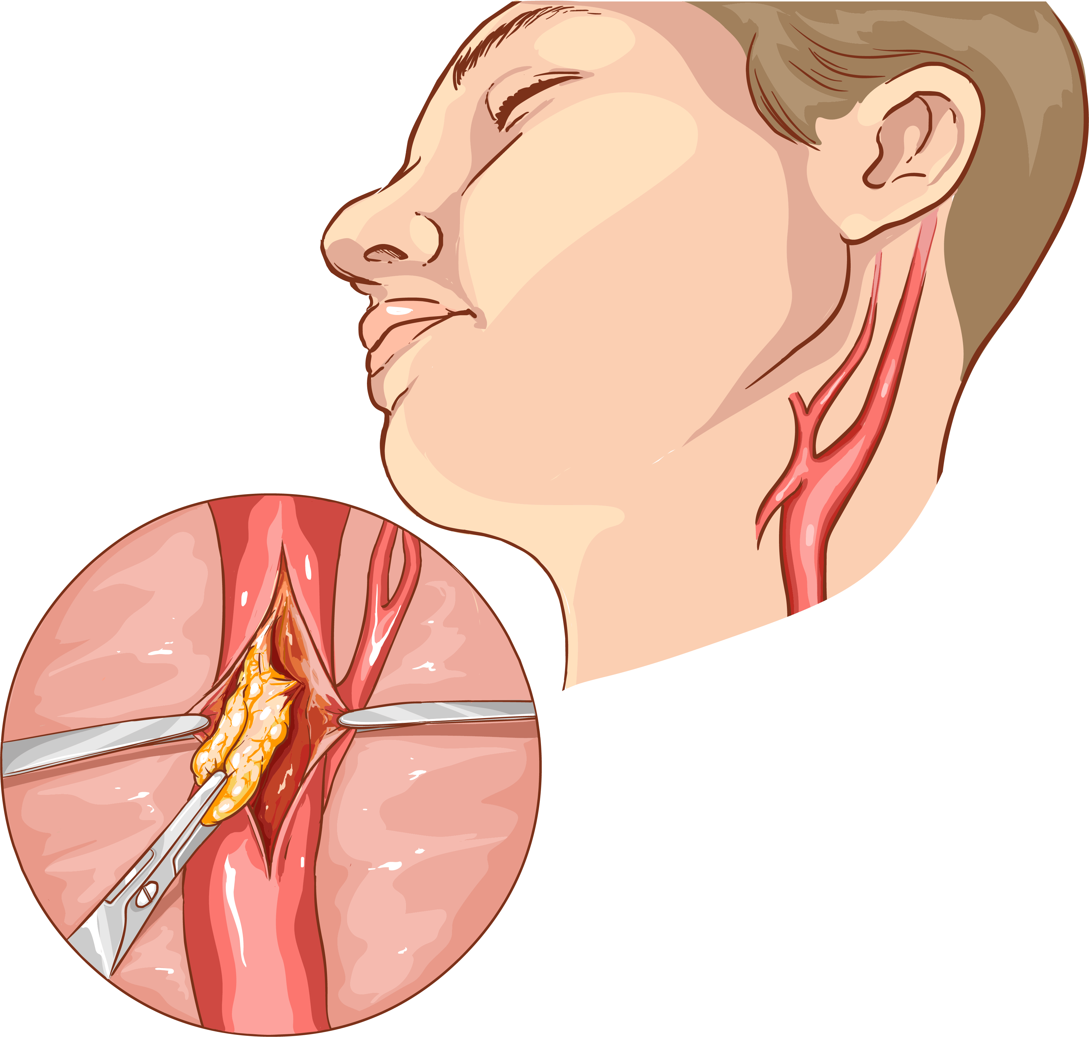 shutterstock_623913890 [Convertido]